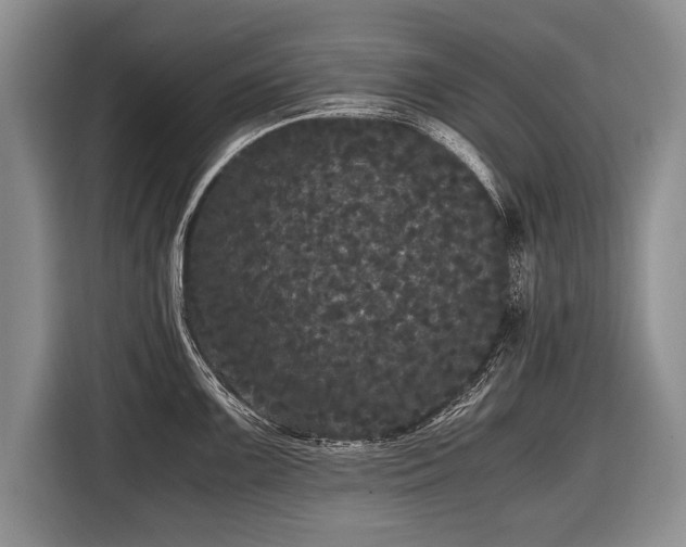 X0000116441099200912151235