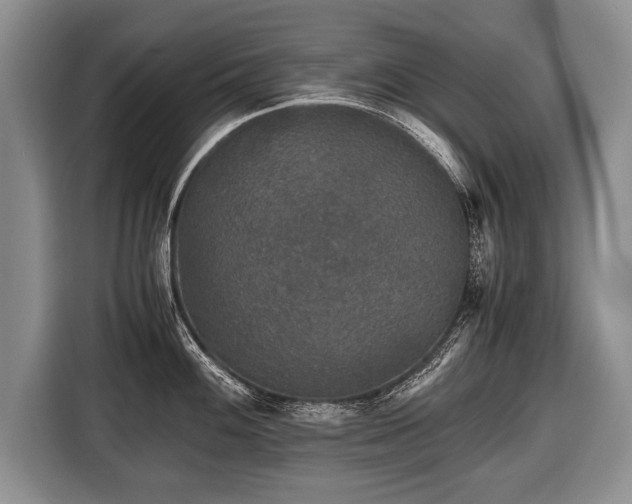 X0000116441100200912151235
