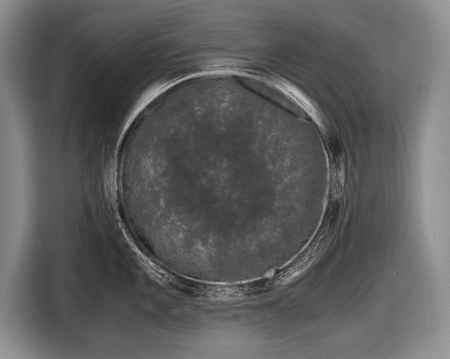 X0000116441101200912151235