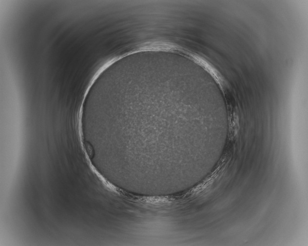 X0000116441103200912151235