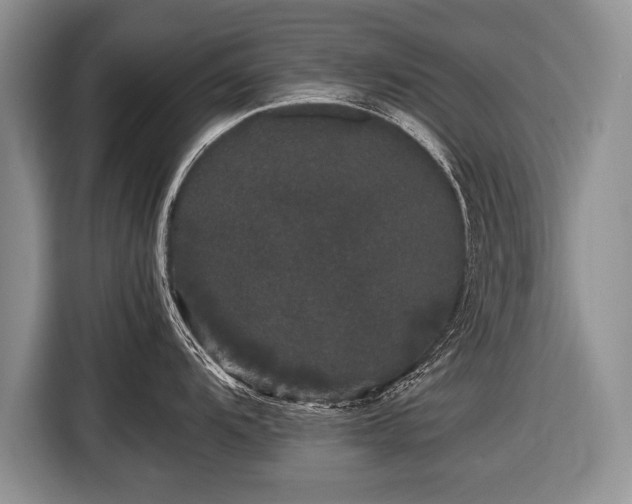 X0000116441104200912151235