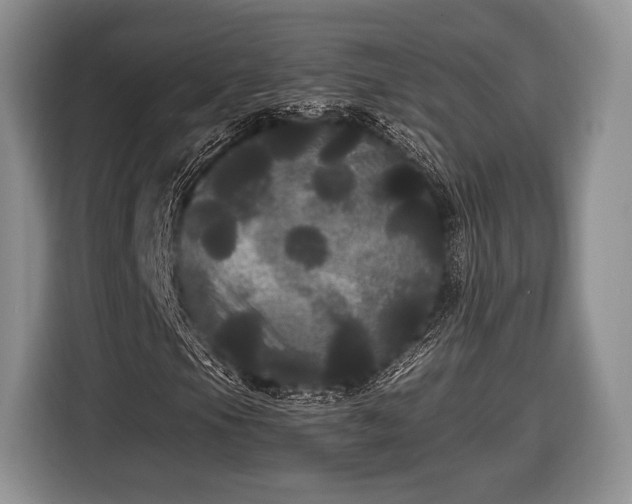 X0000116441105200912151234