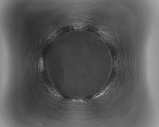 X0000116441106200912151234