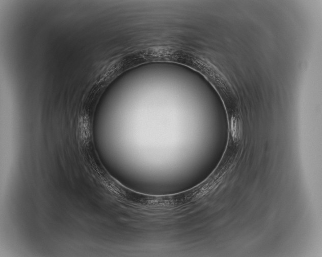 X0000116441107200912151234