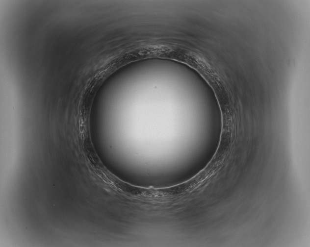 X0000116441109200912151234