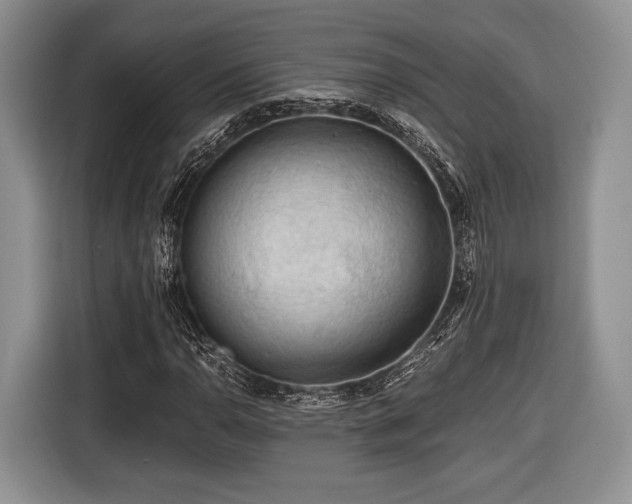 X0000116441110200912151234