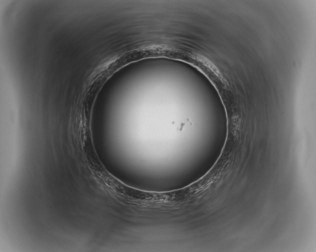 X0000116441111200912151234