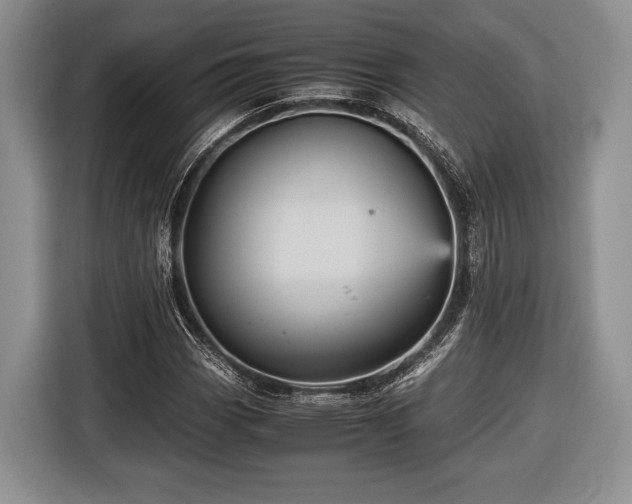 X0000116441113200912151234