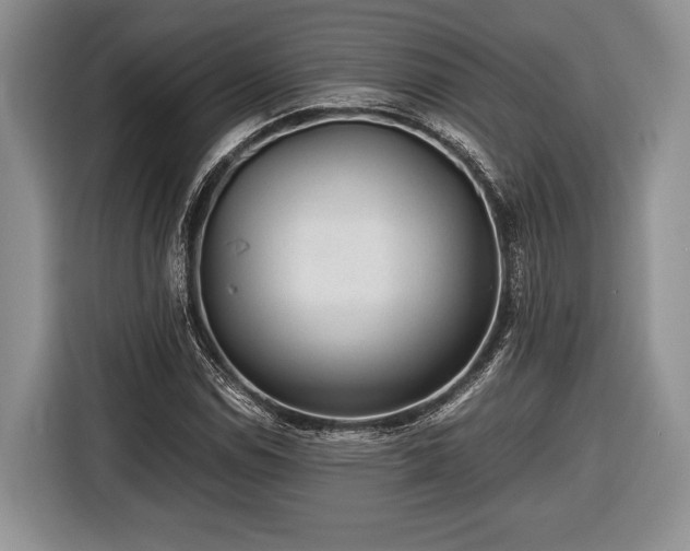 X0000116441114200912151234