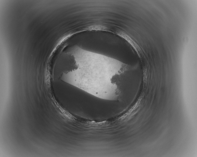 X0000116441115200912151234