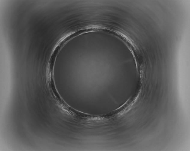 X0000116441117200912151234