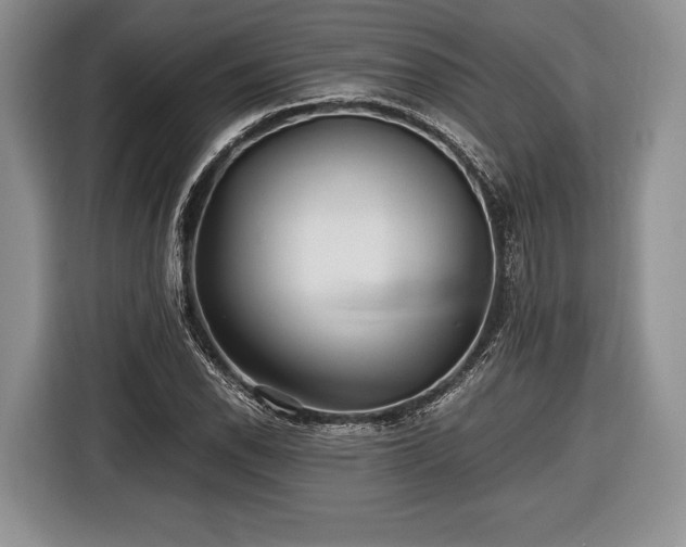 X0000116441118200912151234