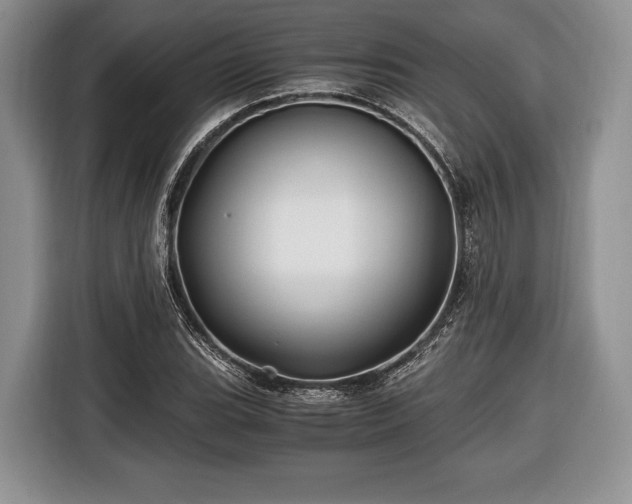 X0000116441119200912151234