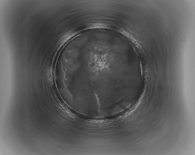 X0000116441121200912151234