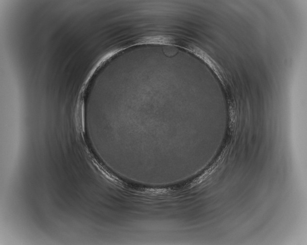 X0000116441123200912151235