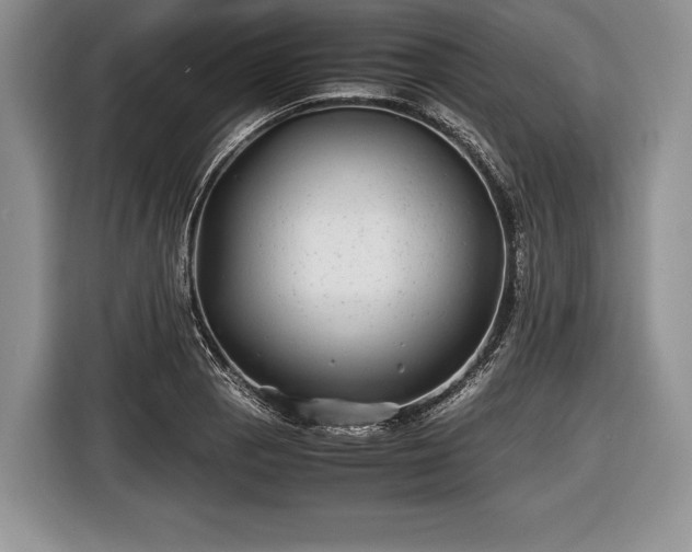 X0000116441129200912151235