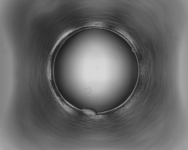 X0000116441131200912151235