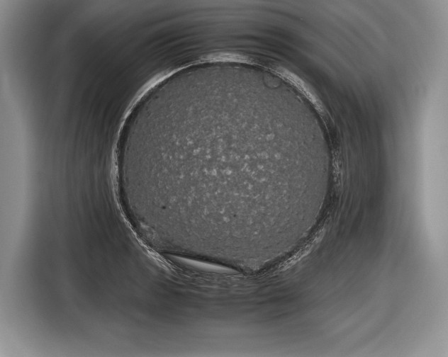 X0000116441133200912151235