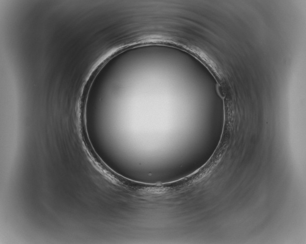 X0000116441134200912151235
