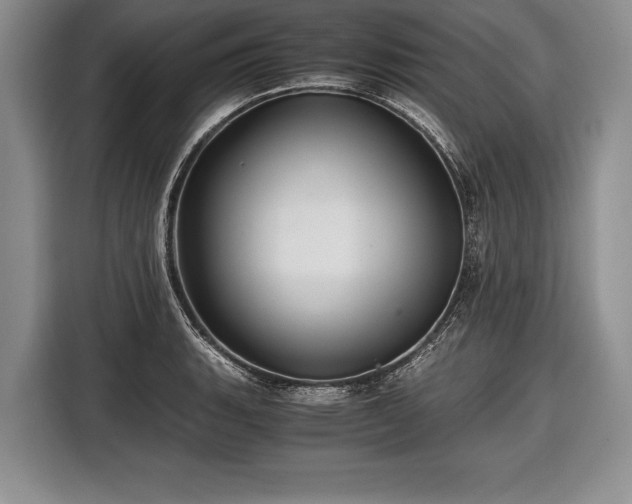X0000116441135200912151235
