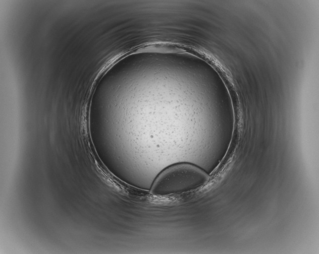 X0000116441137200912151235