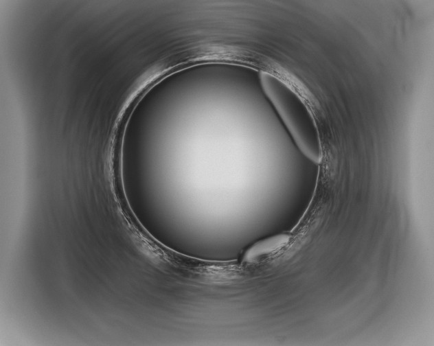X0000116441138200912151235