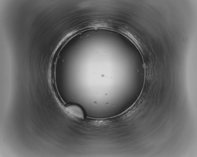X0000116441139200912151235
