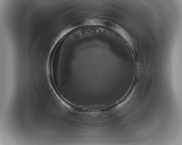 X0000116441141200912151235
