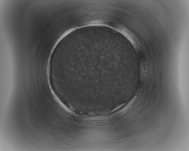 X0000116441142200912151235