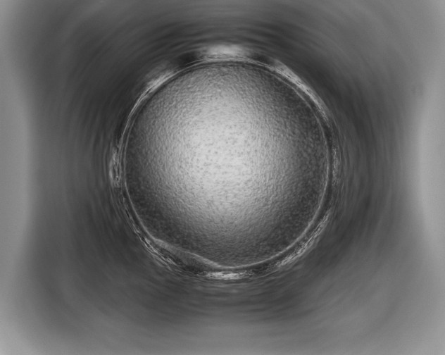 X0000116441145200912151235