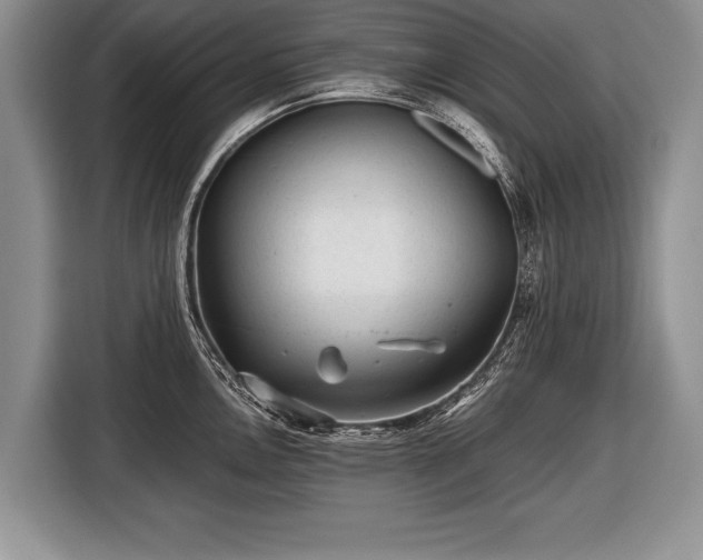 X0000116441146200912151235