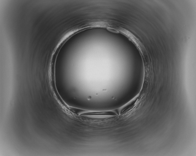 X0000116441147200912151235