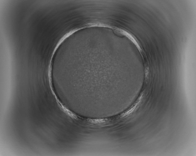 X0000116441149200912151235