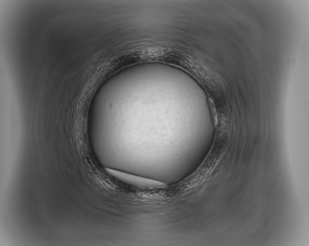 X0000116441153200912151234