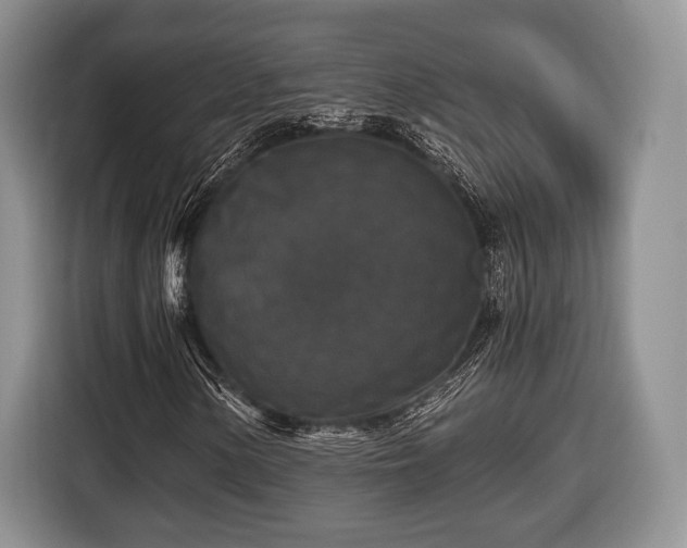 X0000116441154200912151234