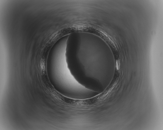 X0000116441155200912151234