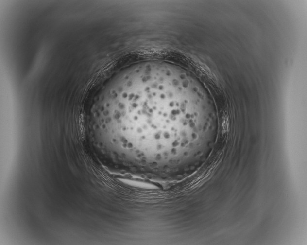 X0000116441156200912151234