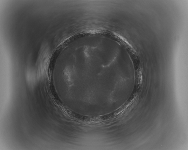 X0000116441158200912151234