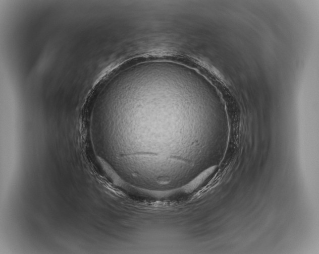 X0000116441160200912151234