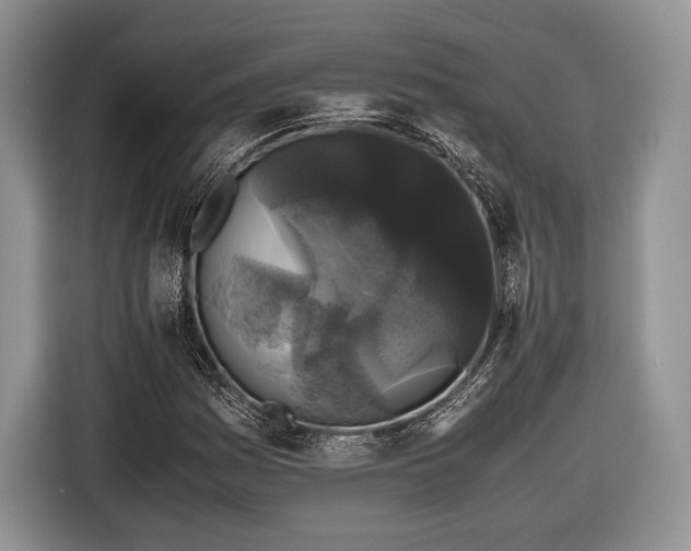 X0000116441161200912151234