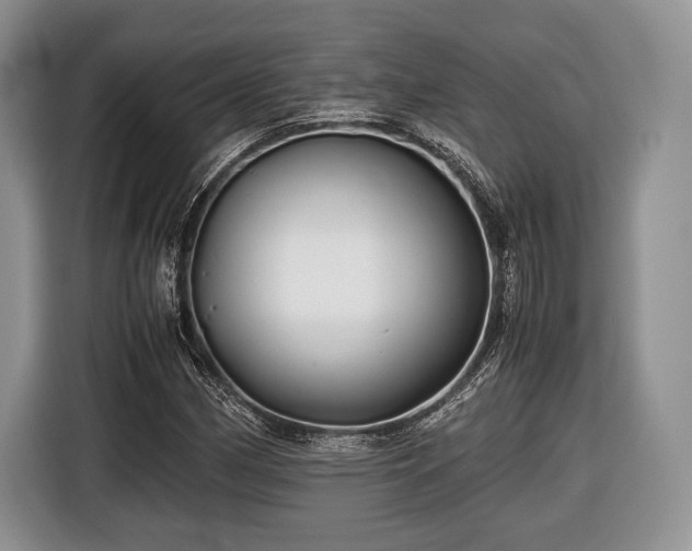 X0000116441162200912151234