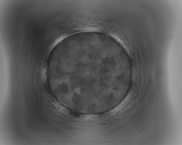 X0000116441163200912151234