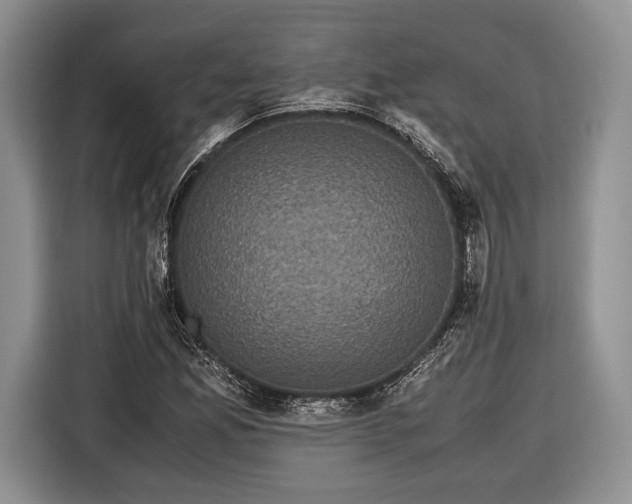 X0000116441165200912151234