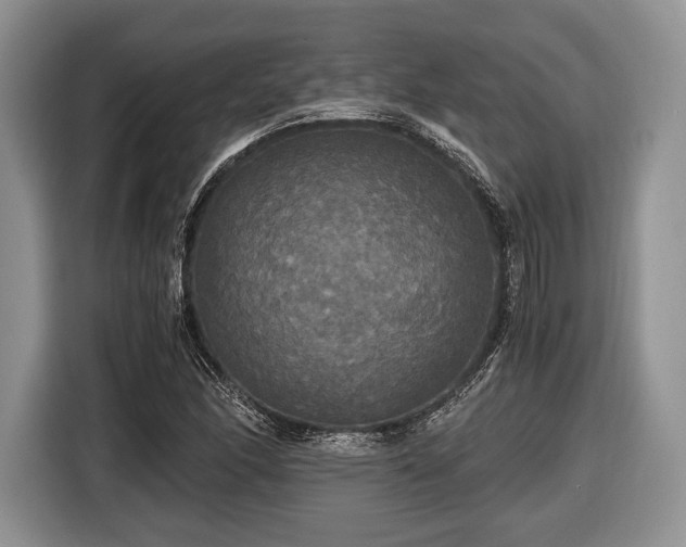 X0000116441166200912151234