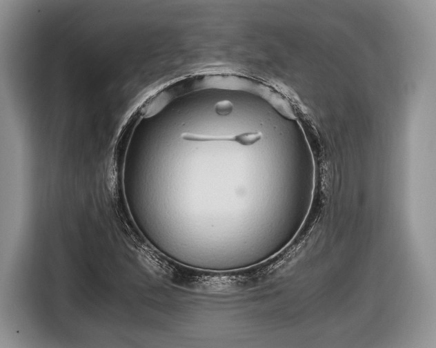 X0000116441167200912151234