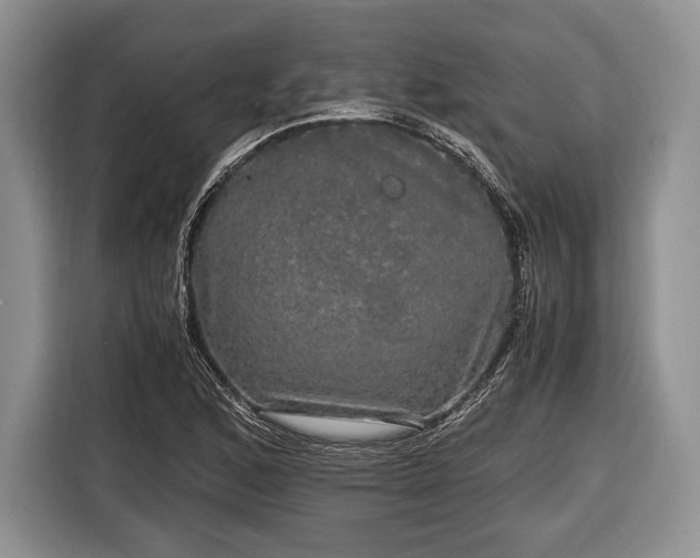X0000116441168200912151234