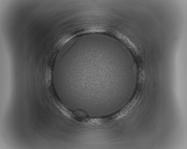 X0000116441169200912151234