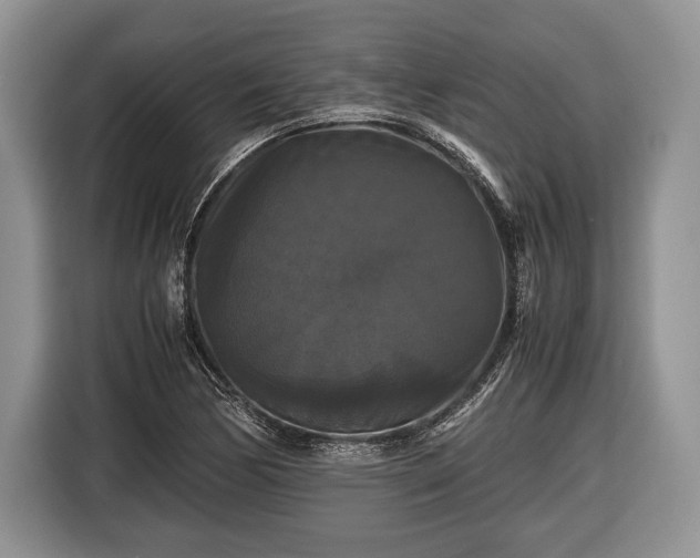 X0000116441170200912151234