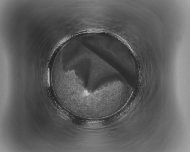 X0000116441171200912151234