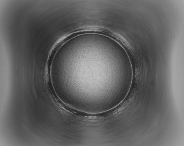 X0000116441172200912151234